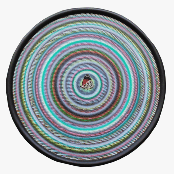 Vibrational Art by Ghanshyam Gupta