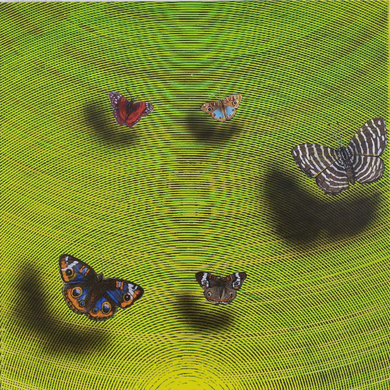 Happy Vibration – 37